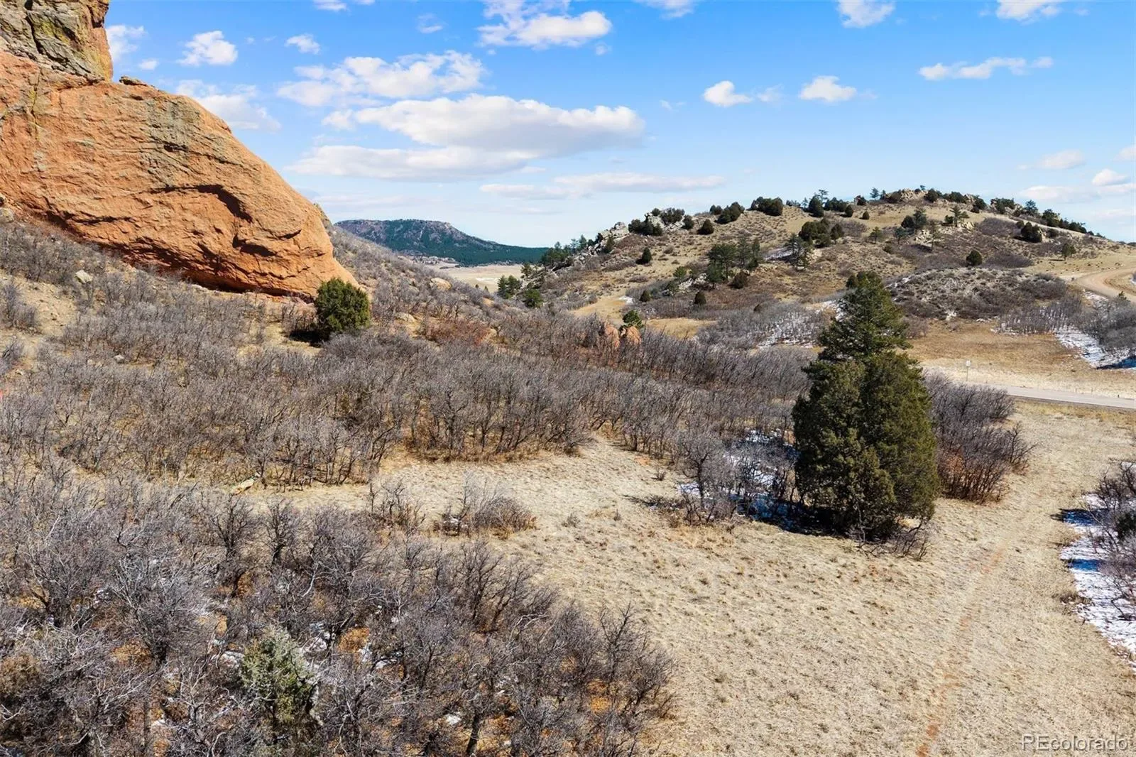 5939 Country Club Drive Larkspur CO 80118 | MLS #REC1712819 03212026055203 1600 24