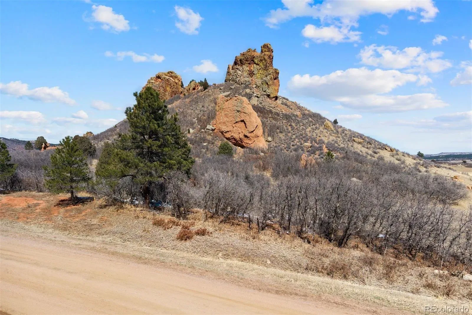 5939 Country Club Drive Larkspur CO 80118 | MLS #REC1712819 03212026055203 1600 4