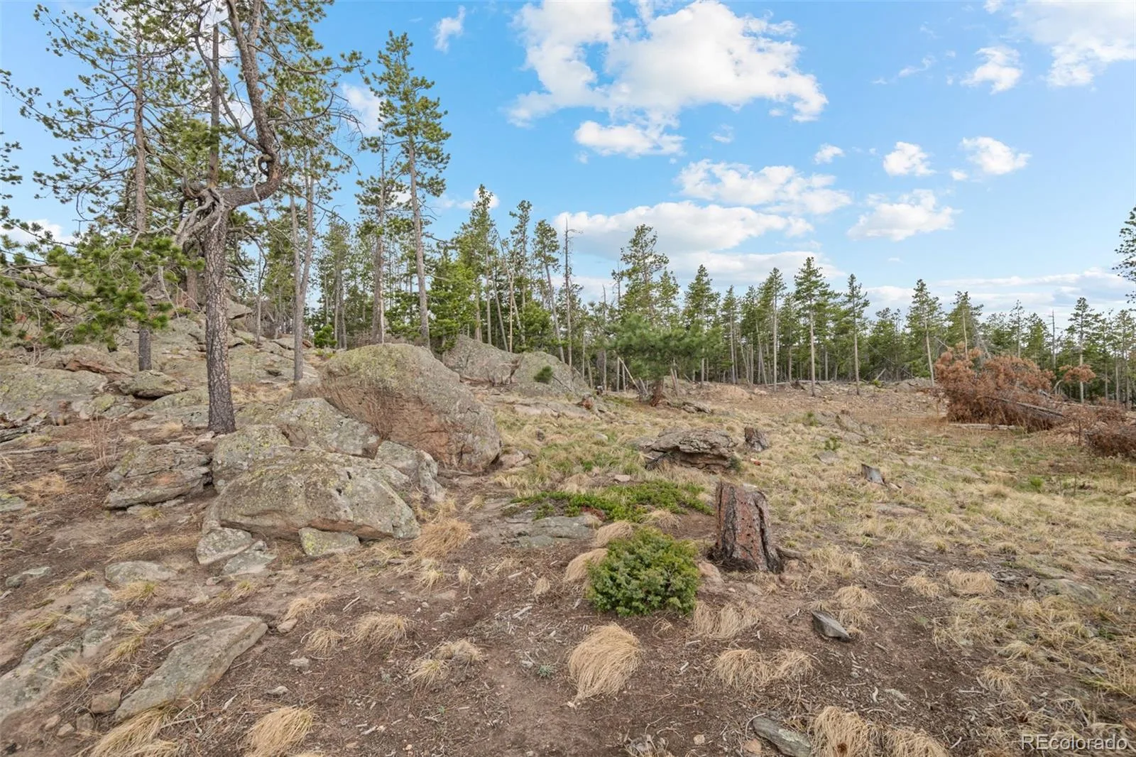 10157 Horizon View Drive Morrison CO 80465 | MLS #REC1716937 07072026133722 1600 3