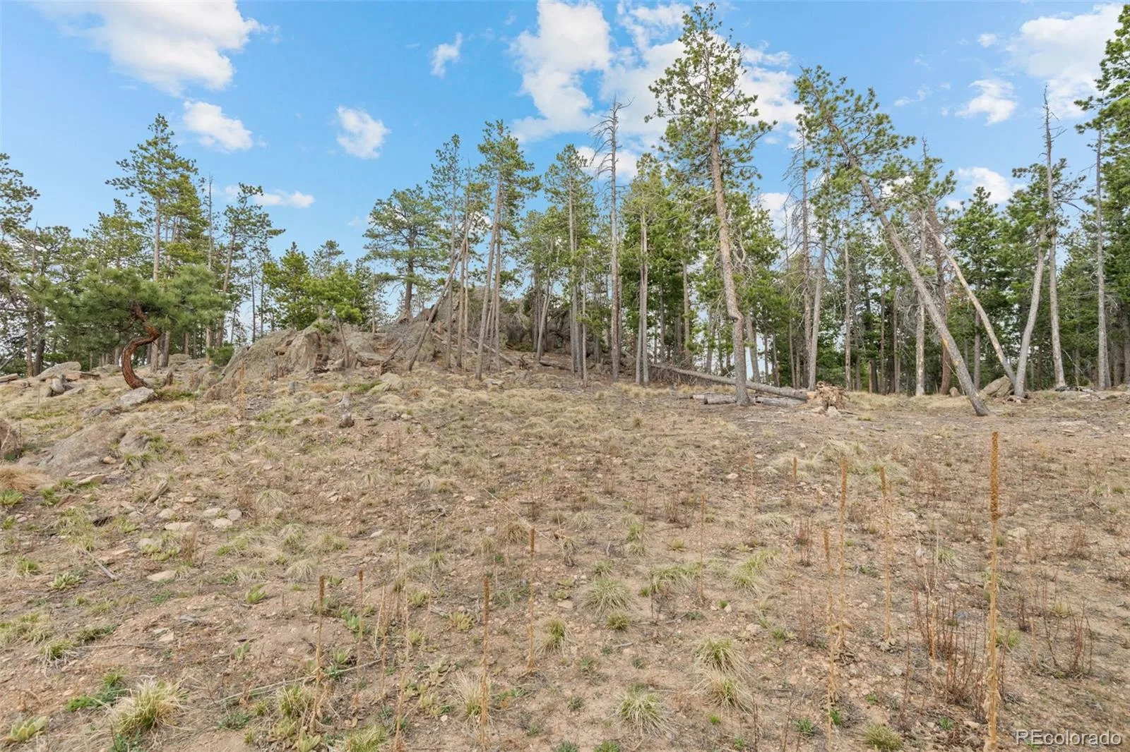 10157 Horizon View Drive Morrison CO 80465 | MLS #REC1716937 07072026133722 1600 4