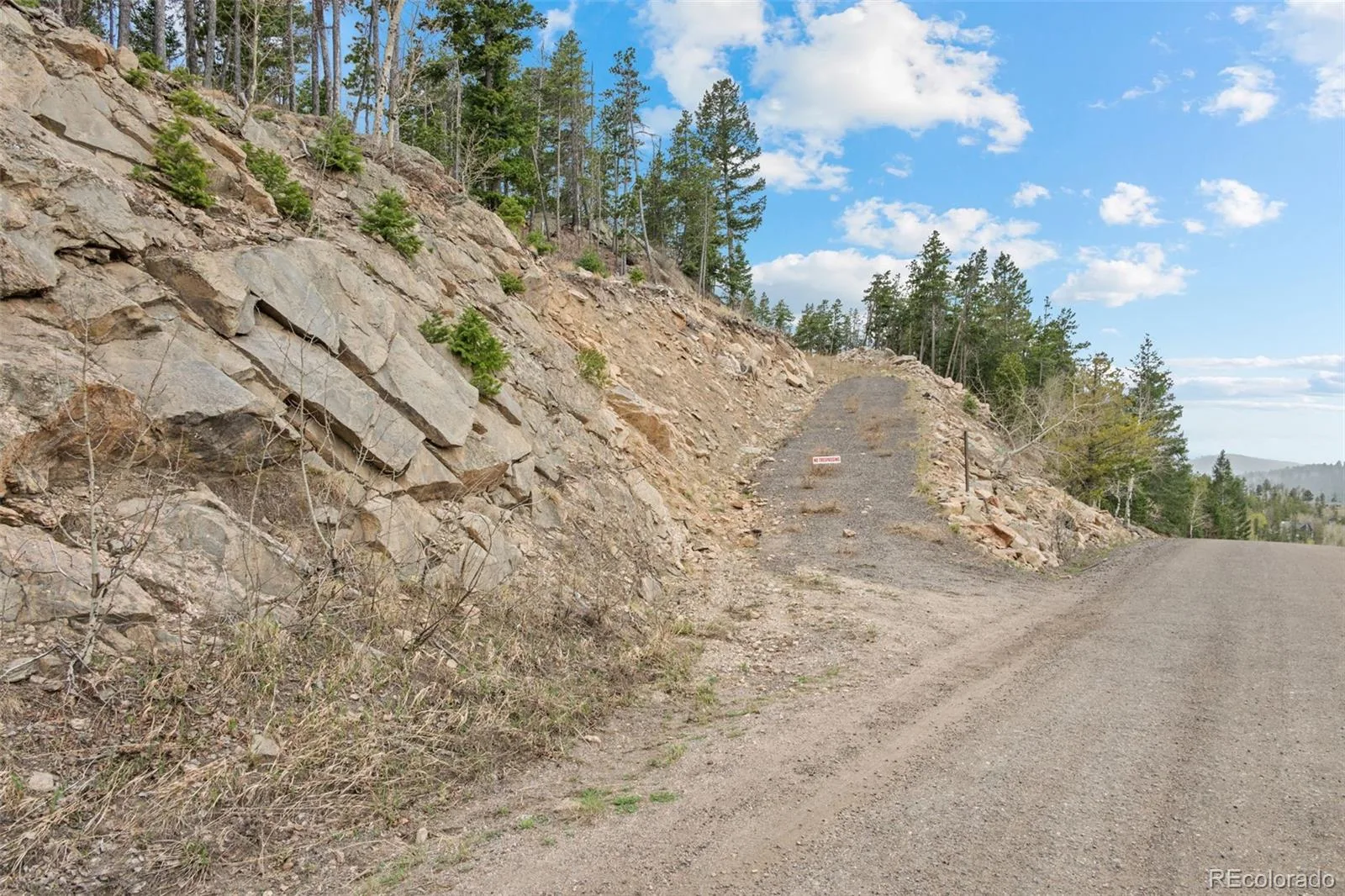 10157 Horizon View Drive Morrison CO 80465 | MLS #REC1716937 07072026133722 1600 5