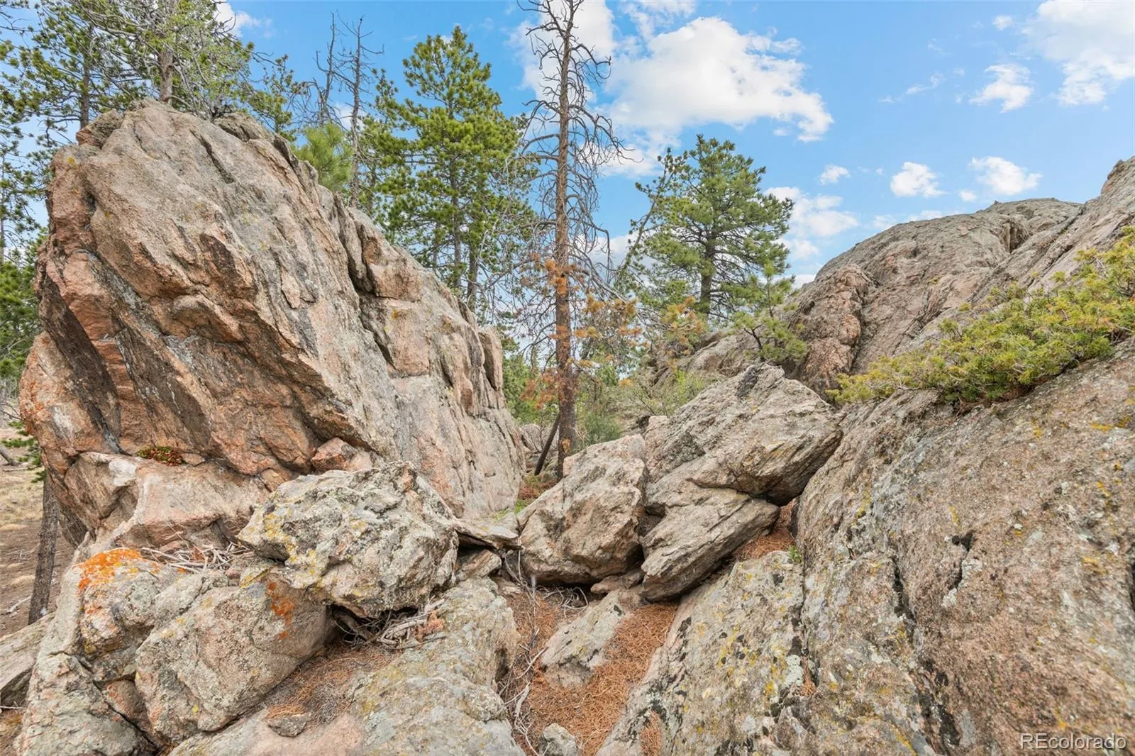 10157 Horizon View Drive Morrison CO 80465 | MLS #REC1716937 07072026133722 1600 7