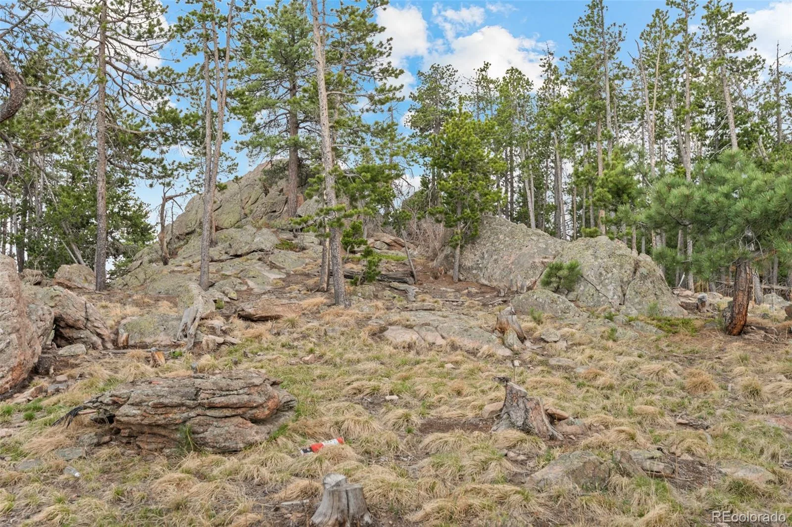 10157 Horizon View Drive Morrison CO 80465 | MLS #REC1716937 07072026133722 1600 8