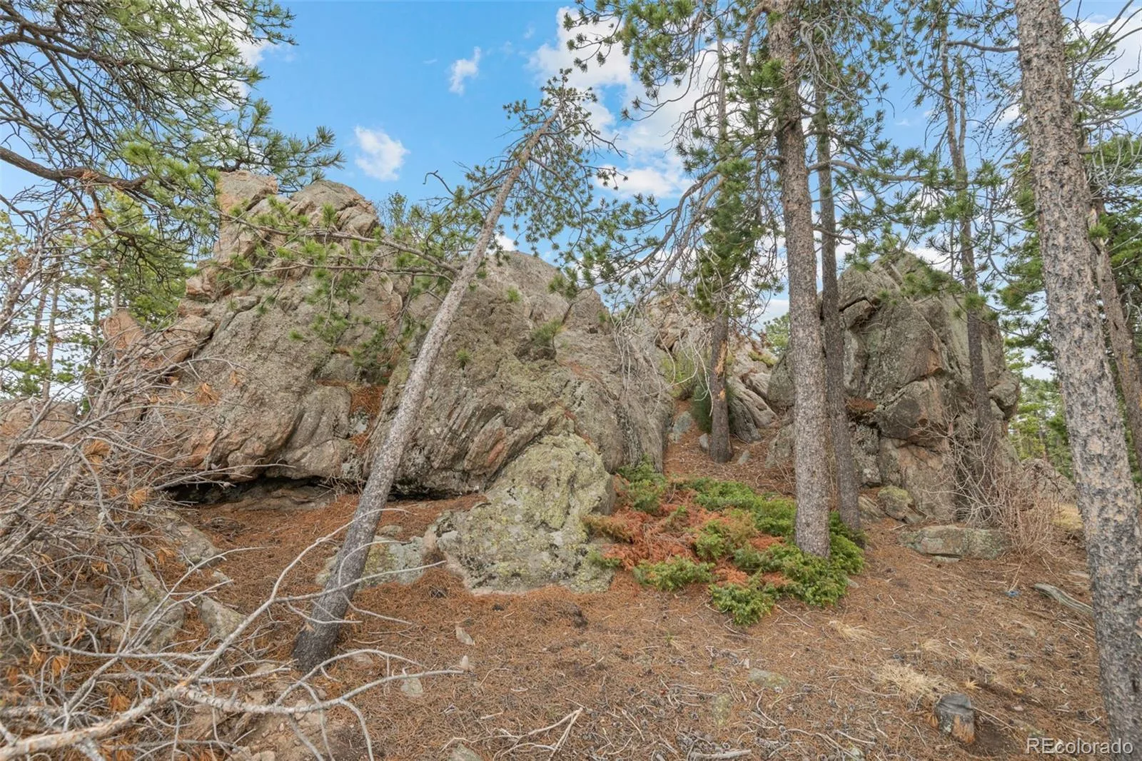 10157 Horizon View Drive Morrison CO 80465 | MLS #REC1716937 07072026133722 1600 9