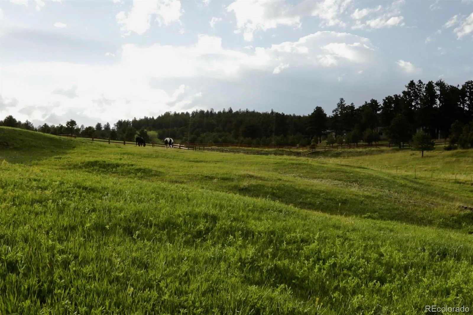 Bear Mountain Drive Evergreen CO 80439 | MLS #REC1720439 07152026065703 1600 12