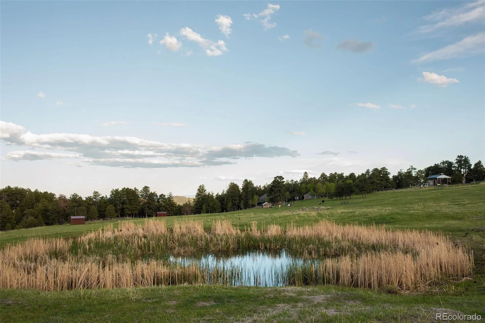 Bear Mountain Drive Evergreen CO 80439 | MLS #REC1720439 07152026065703 1600 2
