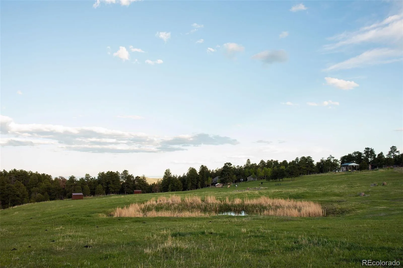 Bear Mountain Drive Evergreen CO 80439 | MLS #REC1720439 07152026065703 1600 3