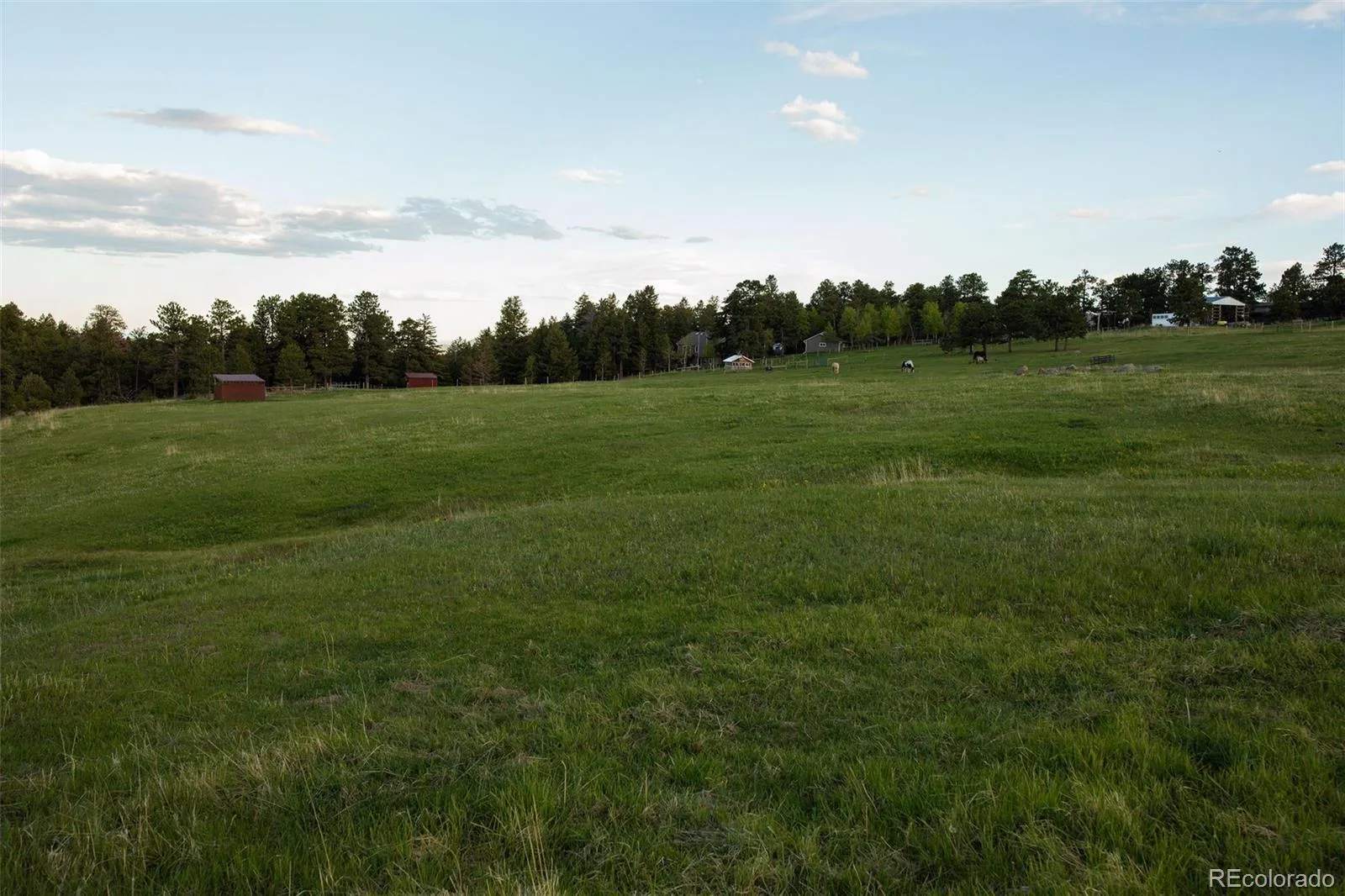 Bear Mountain Drive Evergreen CO 80439 | MLS #REC1720439 07152026065703 1600 4