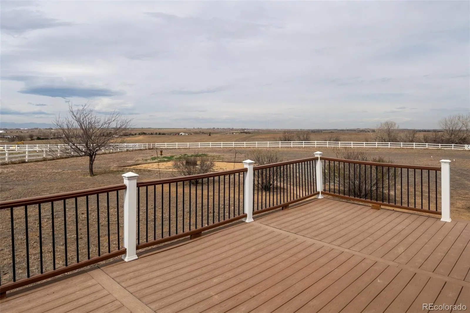 03252026183810 1600 21