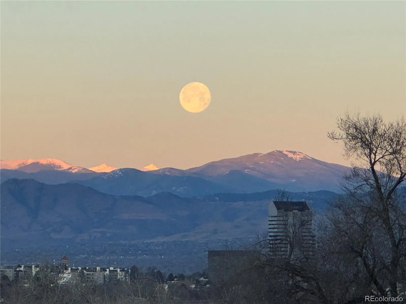 7877 E Mississippi Avenue #301 Denver CO 80247 MLS #REC1732937 05212026235054 1600 31