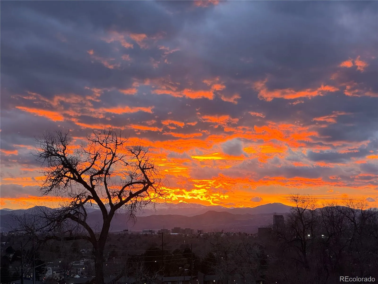 7877 E Mississippi Avenue #301 Denver CO 80247 MLS #REC1732937 05212026235054 1600 36