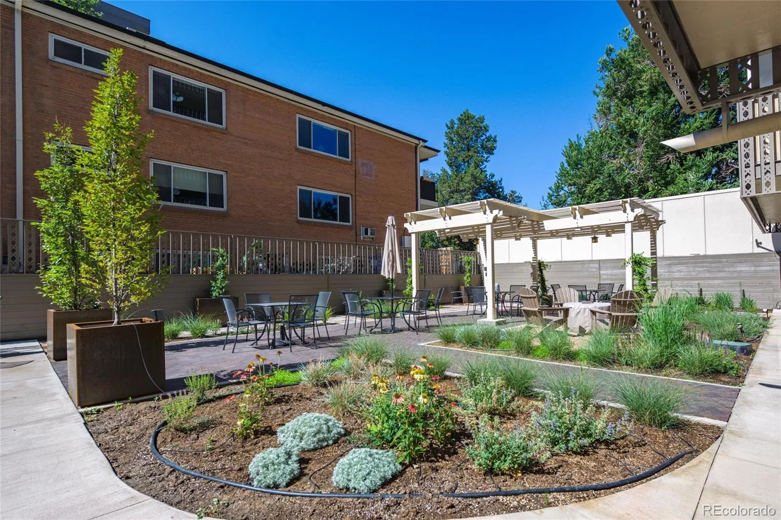 1223 Race Street #203 Denver CO 80206 | MLS #REC1733378 07212026212243 1600 16