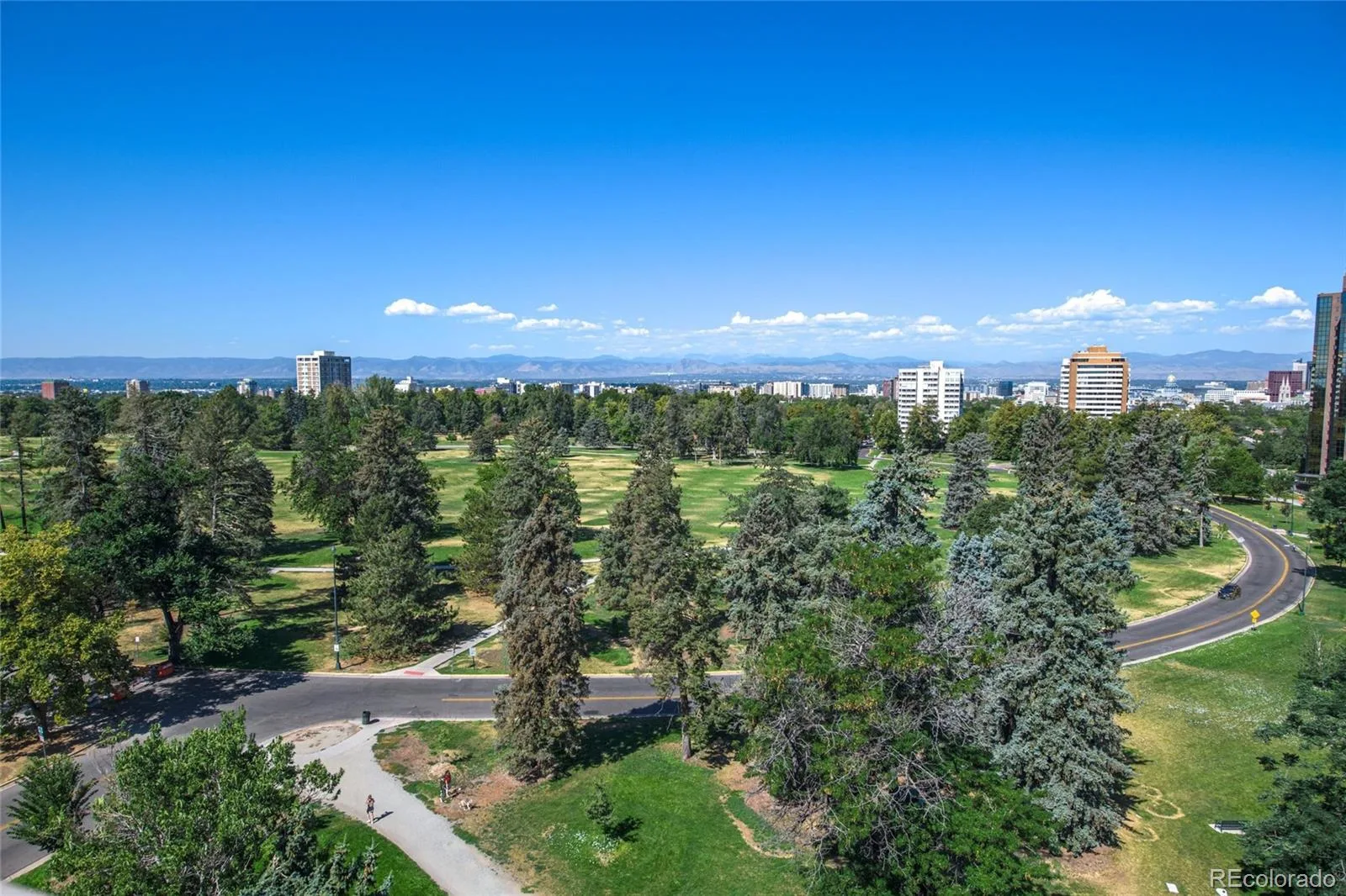 1223 Race Street #203 Denver CO 80206 | MLS #REC1733378 07212026212243 1600 20