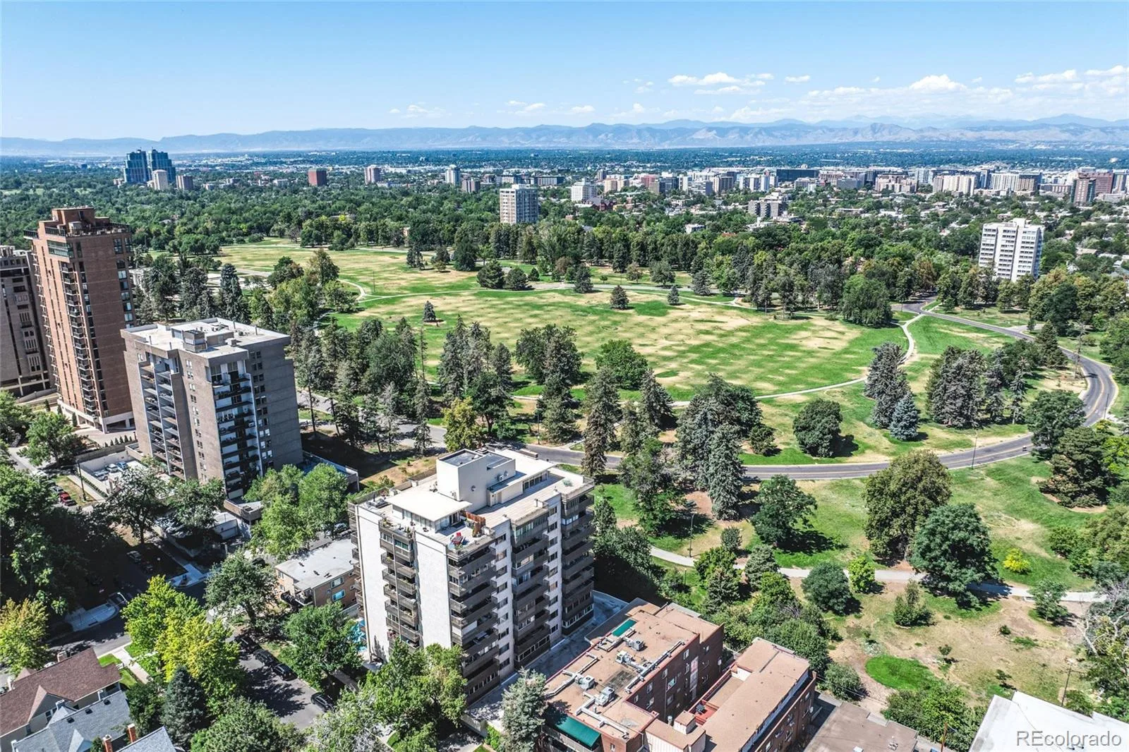 1223 Race Street #203 Denver CO 80206 | MLS #REC1733378 07212026212243 1600 22
