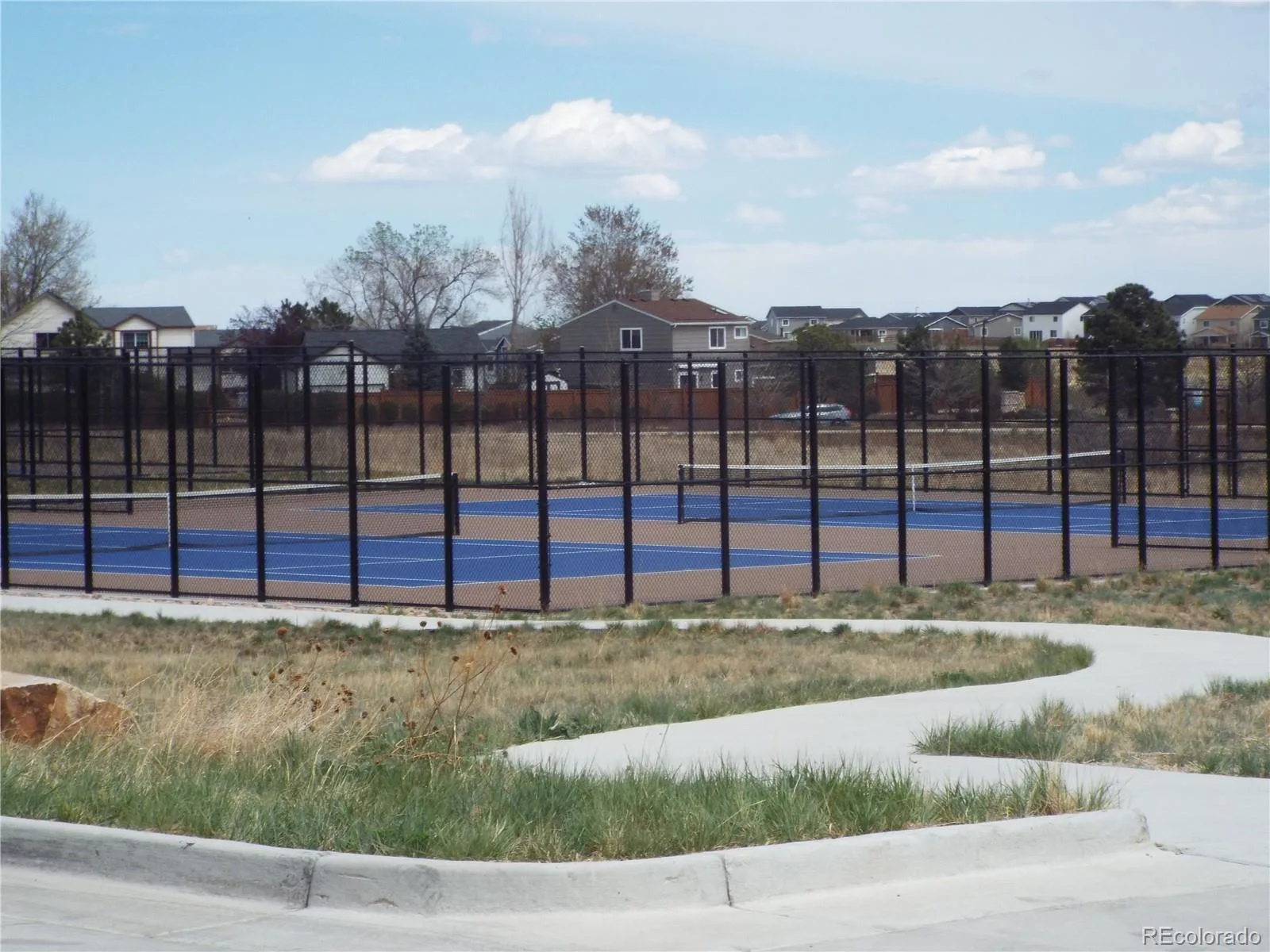 284 Vista Cliff Circle Castle Rock CO 80104 | MLS #REC1737778 08292026161225 1600 28