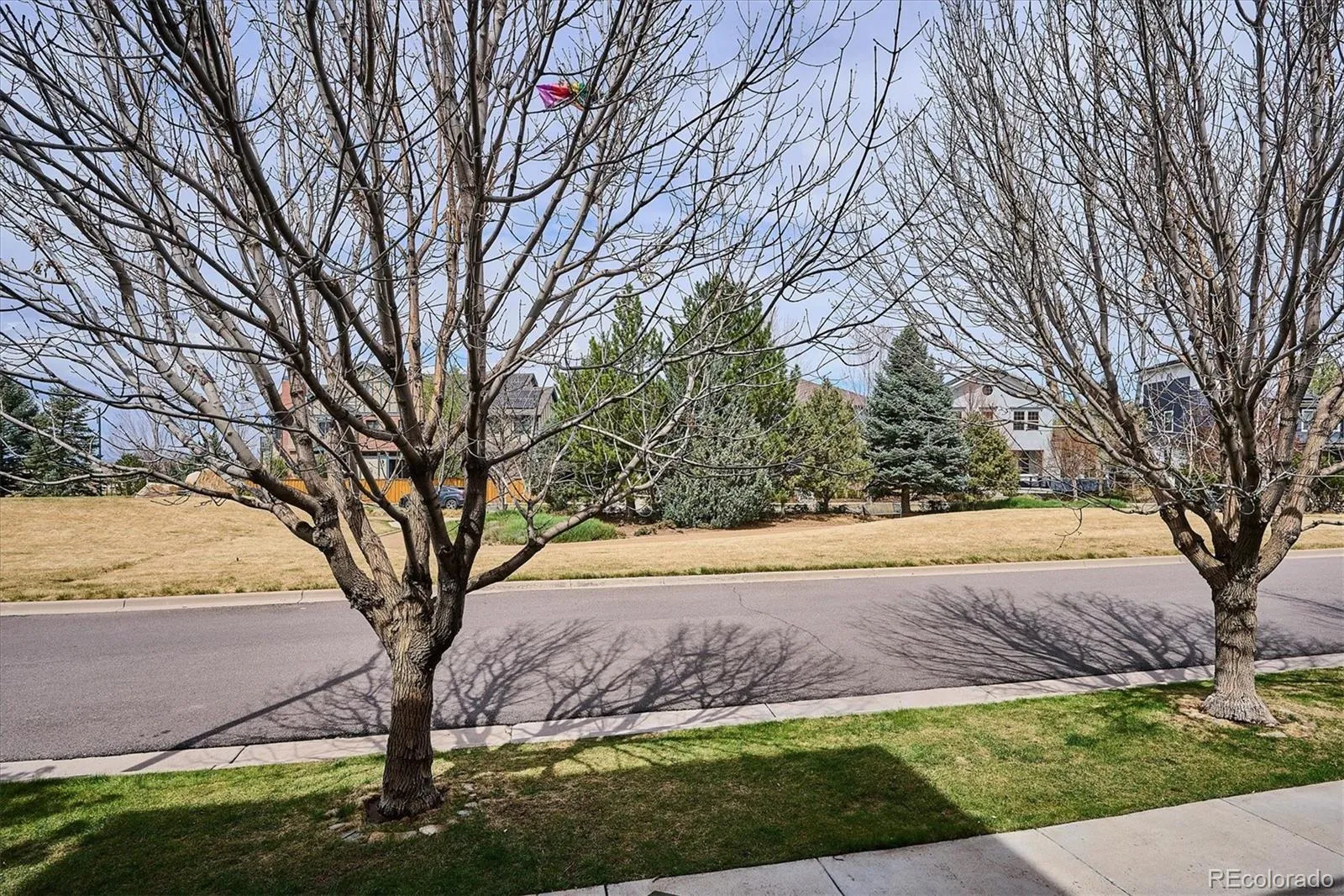 04162026200304 1600 2