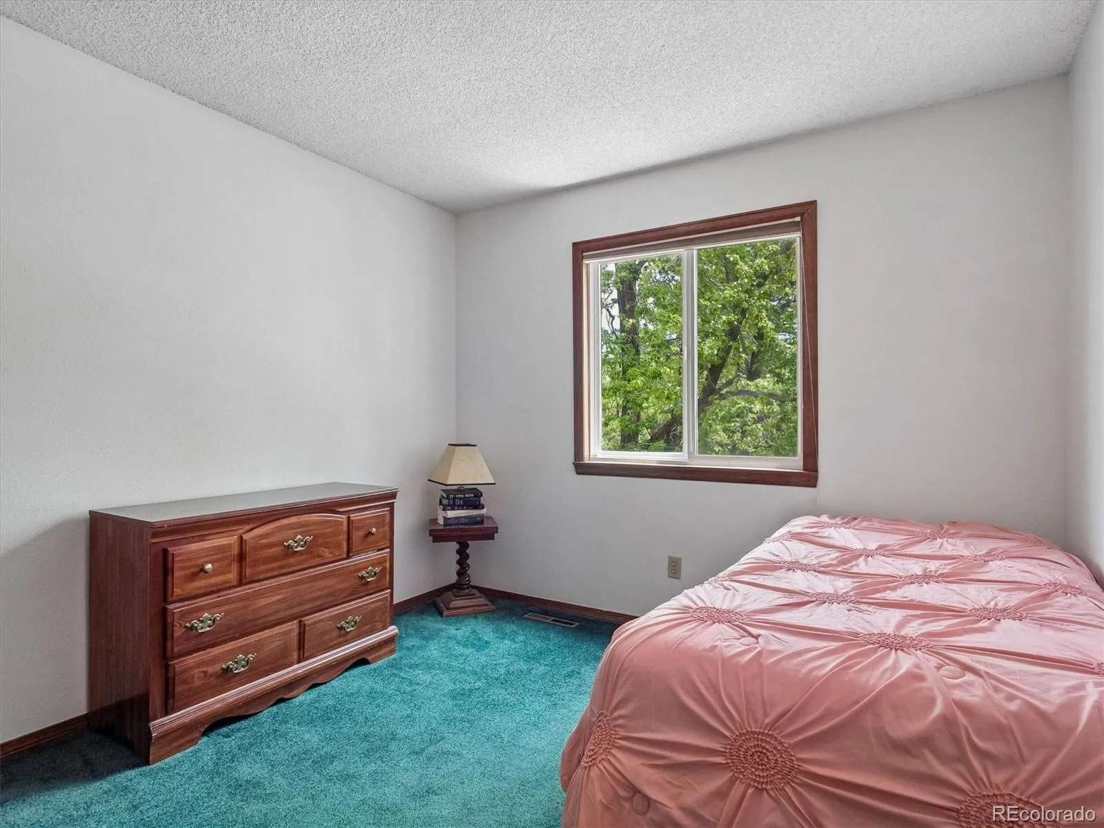 7981 S Cedar Street Littleton CO 80120 MLS #REC1743313 05232026184859 1600 20