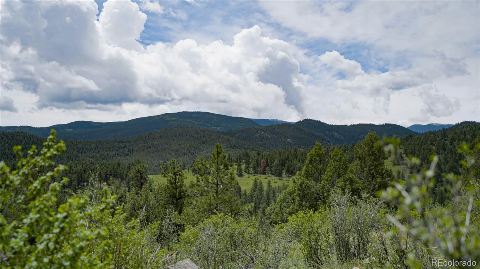 Upper Bear Creek Road Evergreen CO 80439 | MLS #REC1754229 05012026043632 1600 10