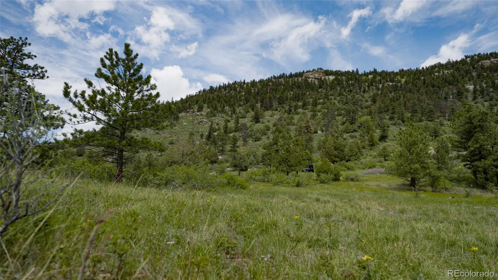 Upper Bear Creek Road Evergreen CO 80439 | MLS #REC1754229 05012026043632 1600 11