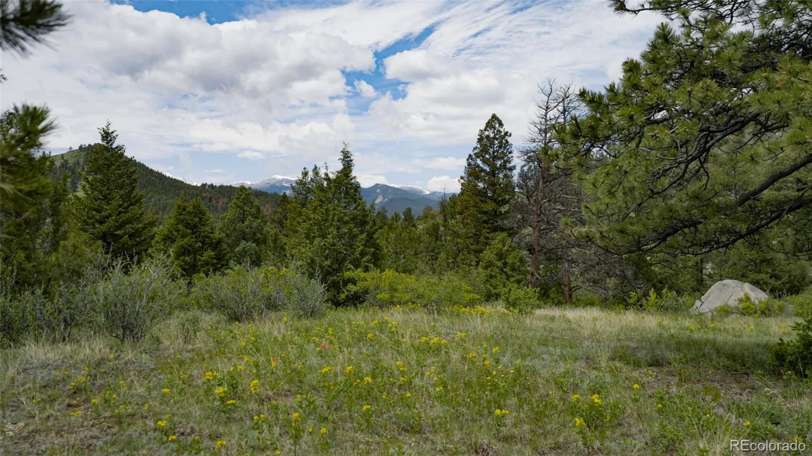 Upper Bear Creek Road Evergreen CO 80439 | MLS #REC1754229 05012026043632 1600 12