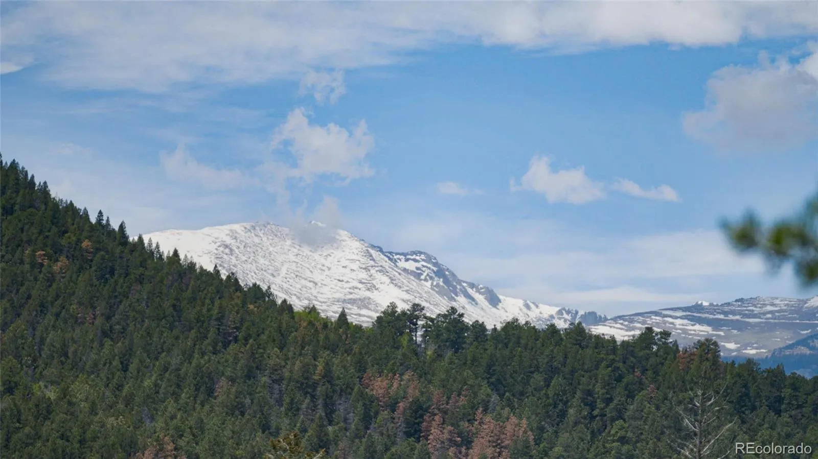 Upper Bear Creek Road Evergreen CO 80439 | MLS #REC1754229 05012026043632 1600 13