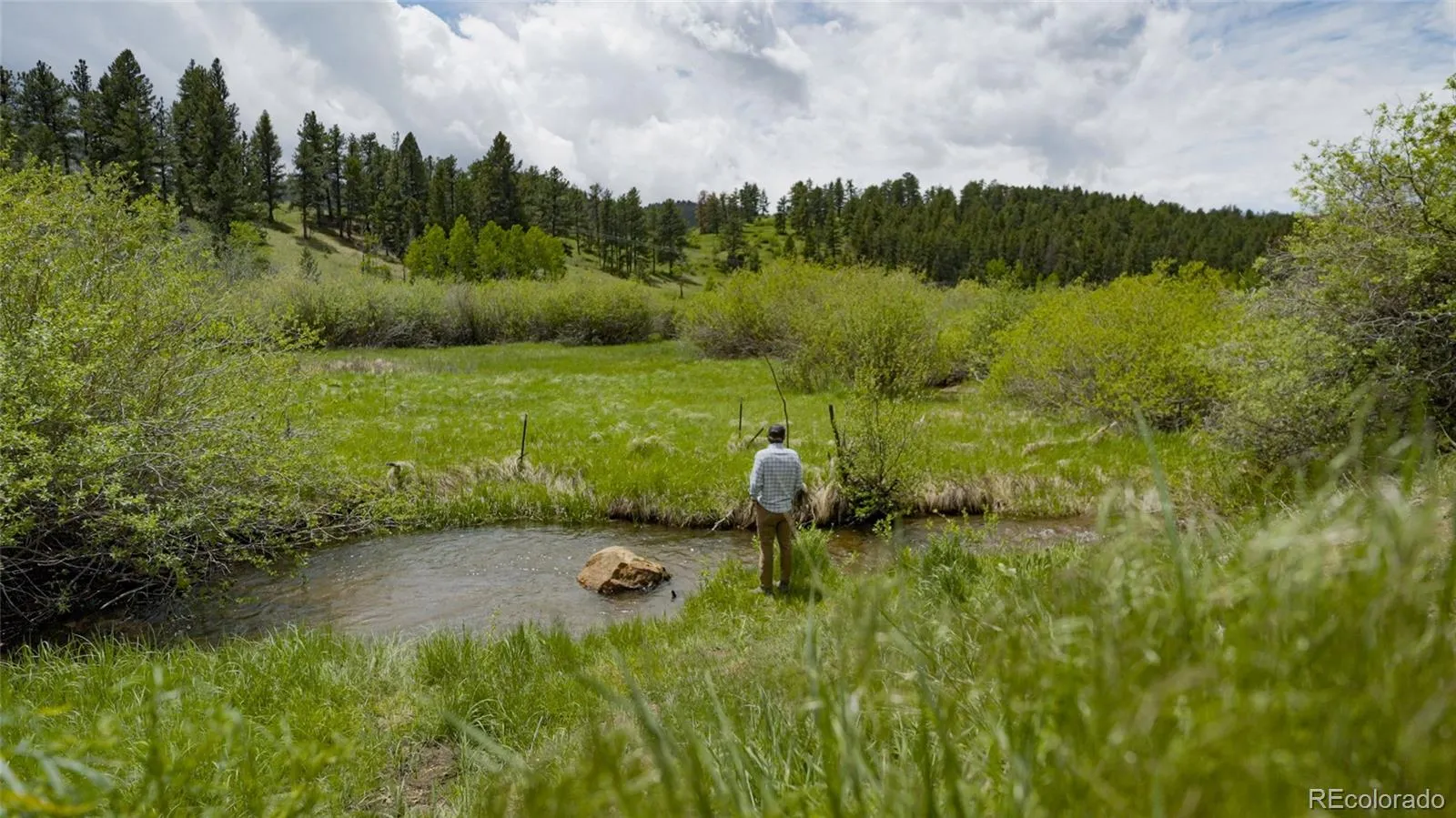 Upper Bear Creek Road Evergreen CO 80439 | MLS #REC1754229 05012026043632 1600 14