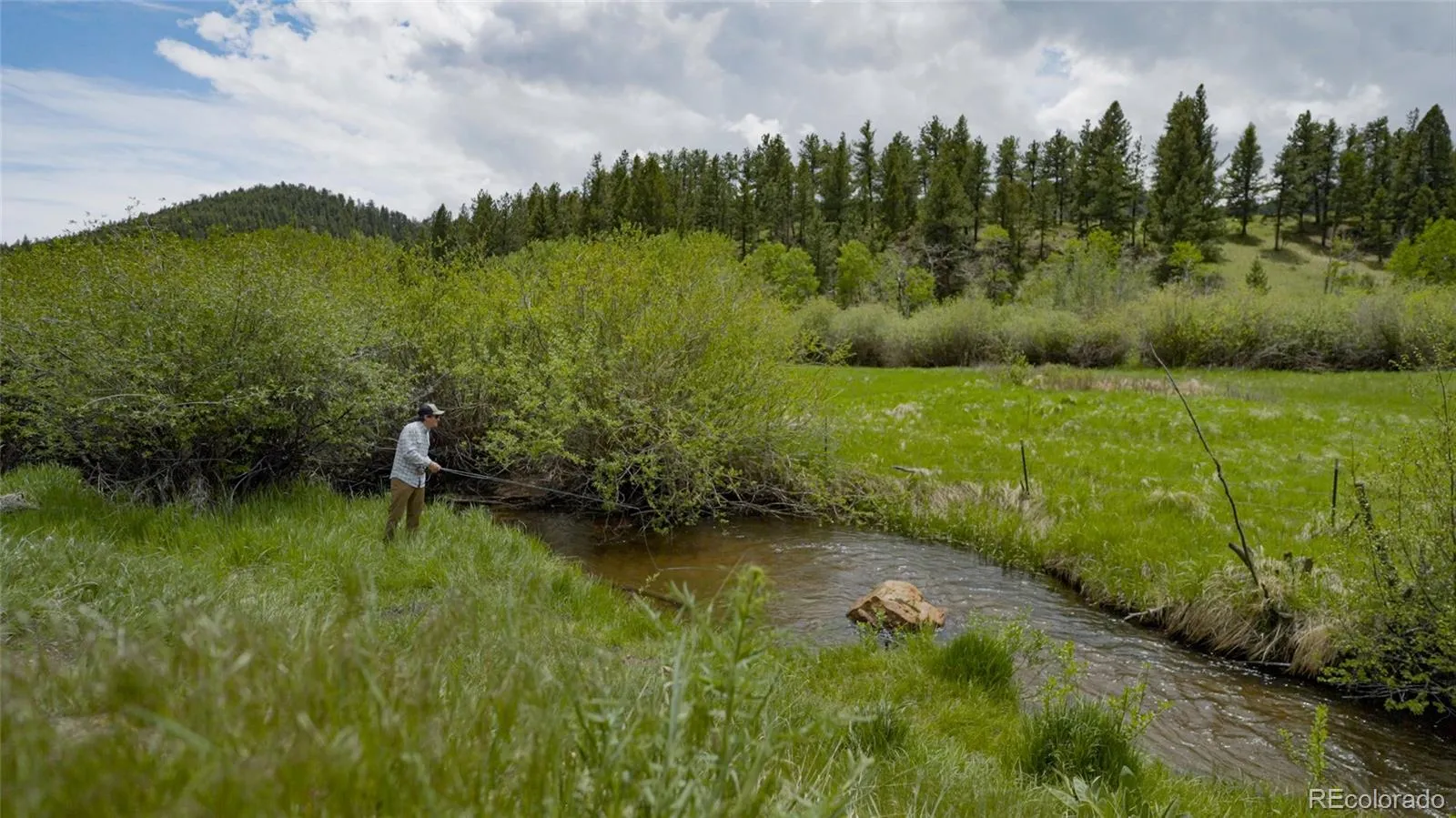 Upper Bear Creek Road Evergreen CO 80439 | MLS #REC1754229 05012026043632 1600 15
