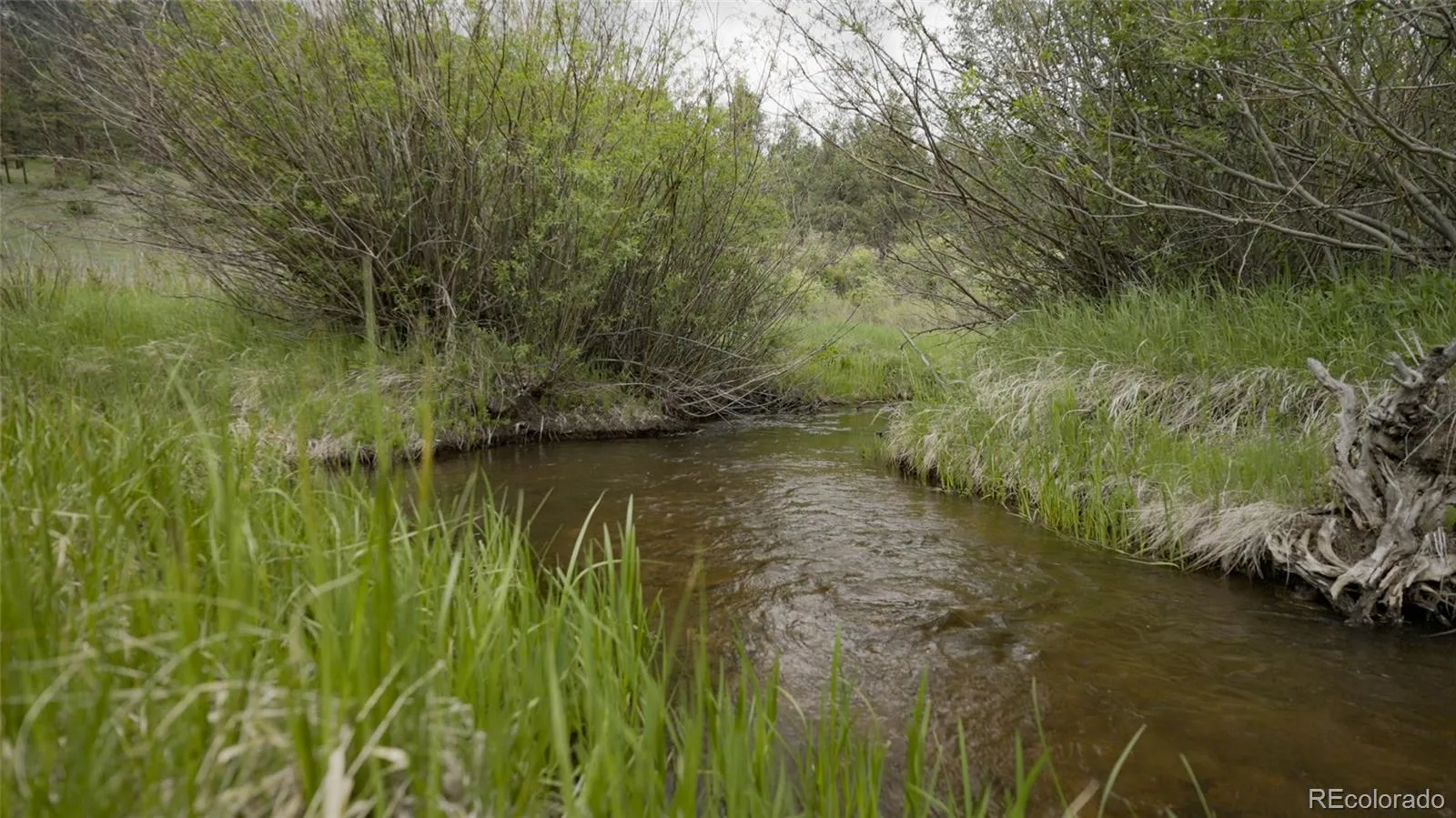Upper Bear Creek Road Evergreen CO 80439 | MLS #REC1754229 05012026043632 1600 16
