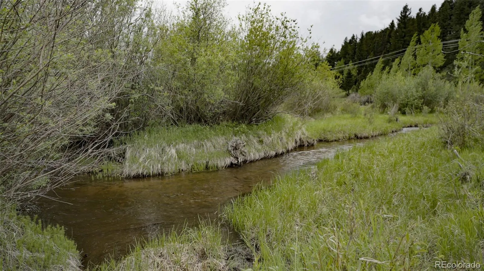Upper Bear Creek Road Evergreen CO 80439 | MLS #REC1754229 05012026043632 1600 17
