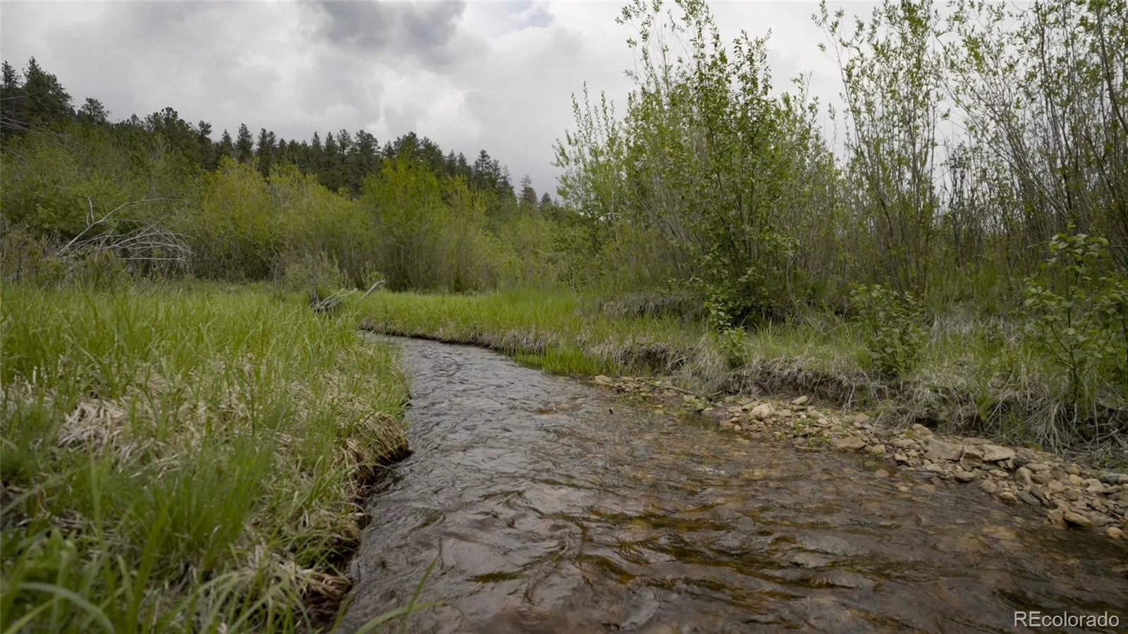 Upper Bear Creek Road Evergreen CO 80439 | MLS #REC1754229 05012026043632 1600 18