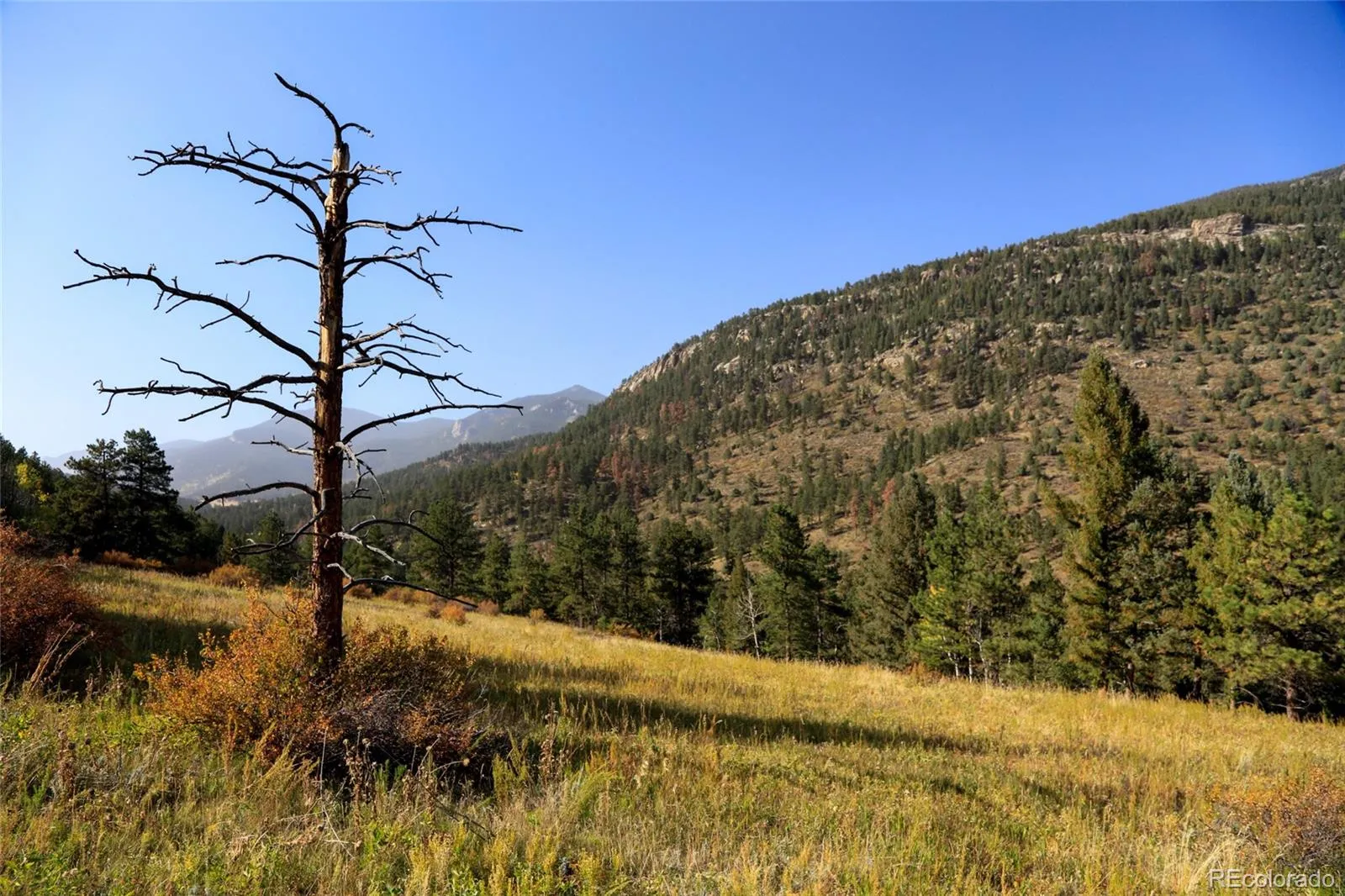 Upper Bear Creek Road Evergreen CO 80439 | MLS #REC1754229 05012026043632 1600 21