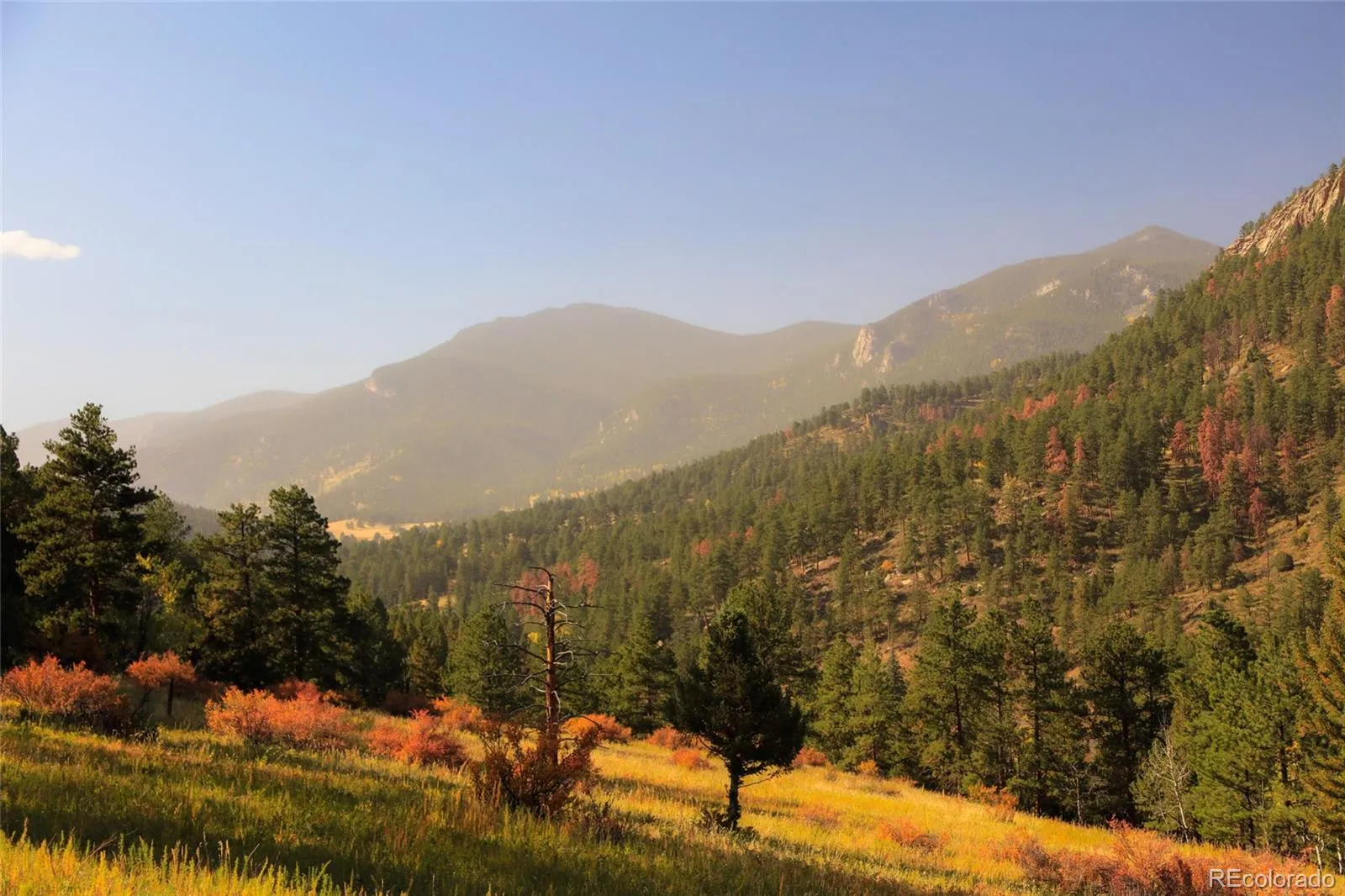 Upper Bear Creek Road Evergreen CO 80439 | MLS #REC1754229 05012026043632 1600 22