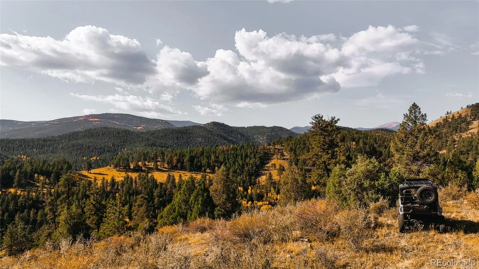 Upper Bear Creek Road Evergreen CO 80439 | MLS #REC1754229 05012026043632 1600 25