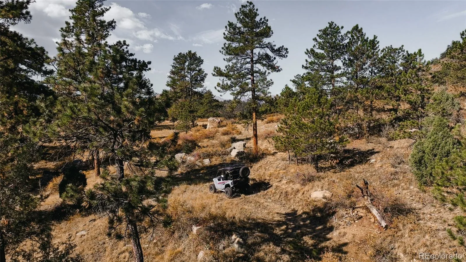 Upper Bear Creek Road Evergreen CO 80439 | MLS #REC1754229 05012026043632 1600 26