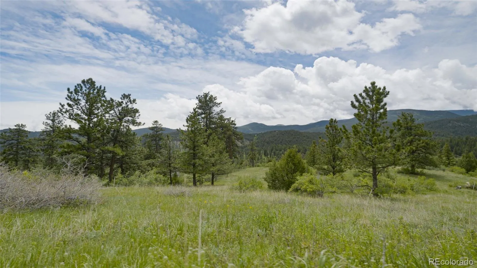 Upper Bear Creek Road Evergreen CO 80439 | MLS #REC1754229 05012026043632 1600 6