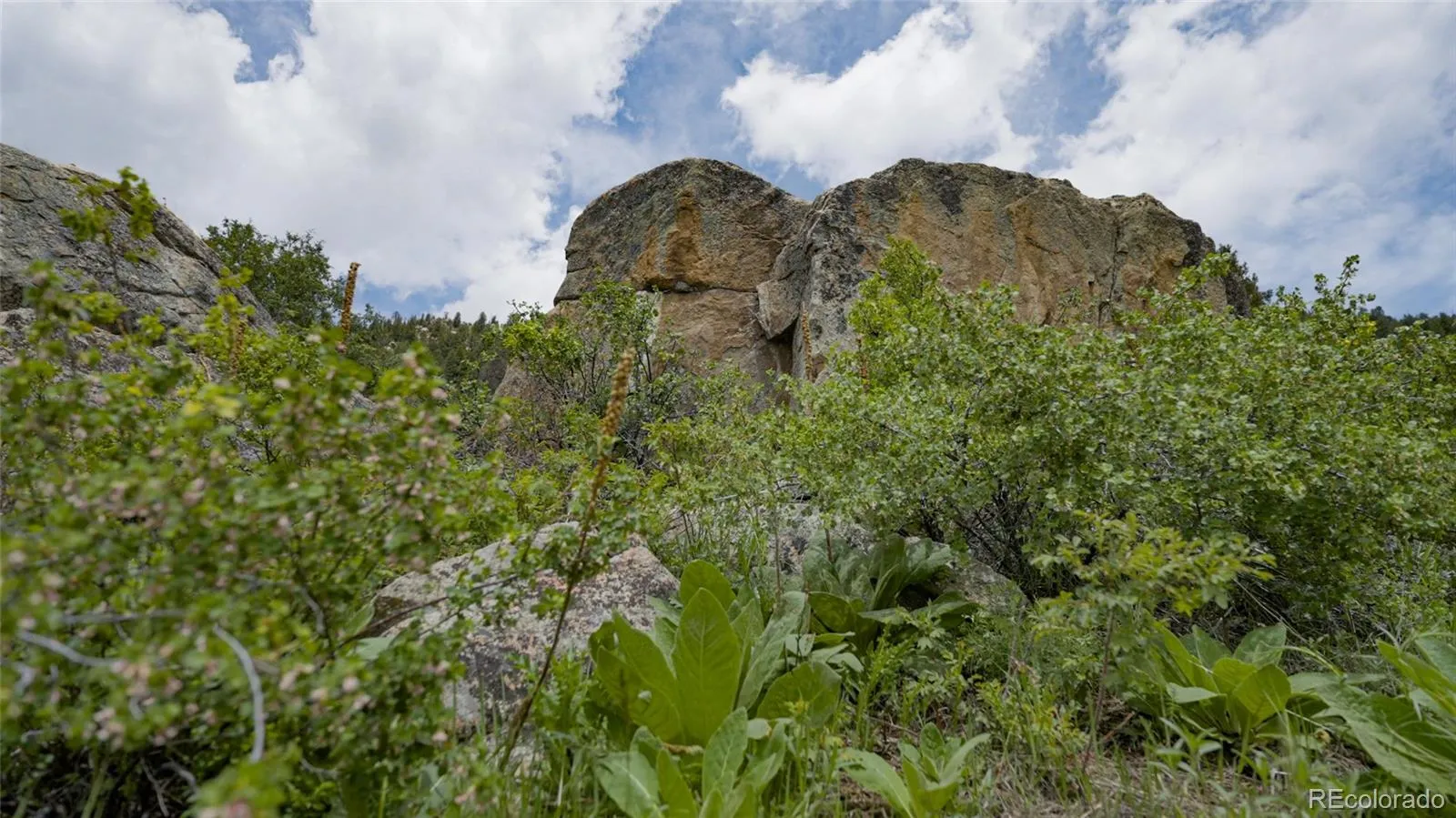 Upper Bear Creek Road Evergreen CO 80439 | MLS #REC1754229 05012026043632 1600 7