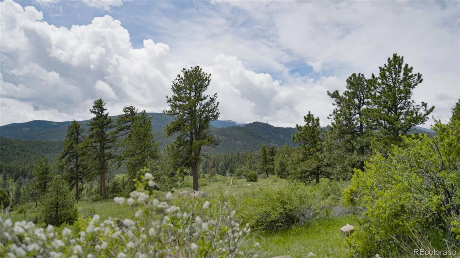 Upper Bear Creek Road Evergreen CO 80439 | MLS #REC1754229 05012026043632 1600 8