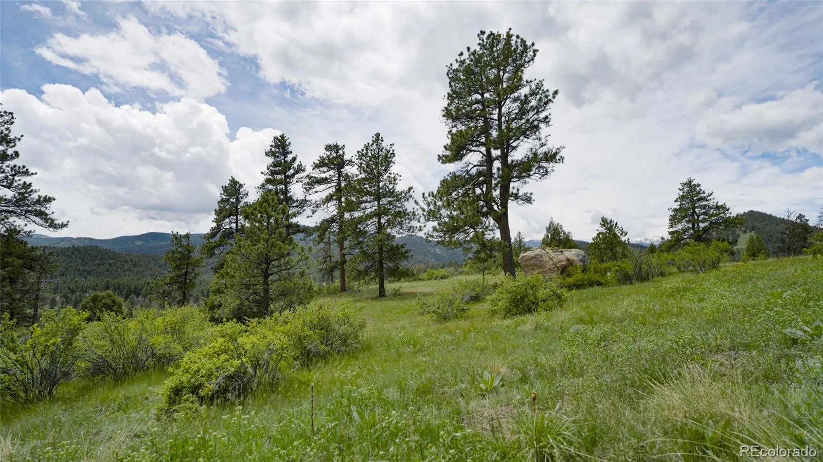 Upper Bear Creek Road Evergreen CO 80439 | MLS #REC1754229 05012026043632 1600 9