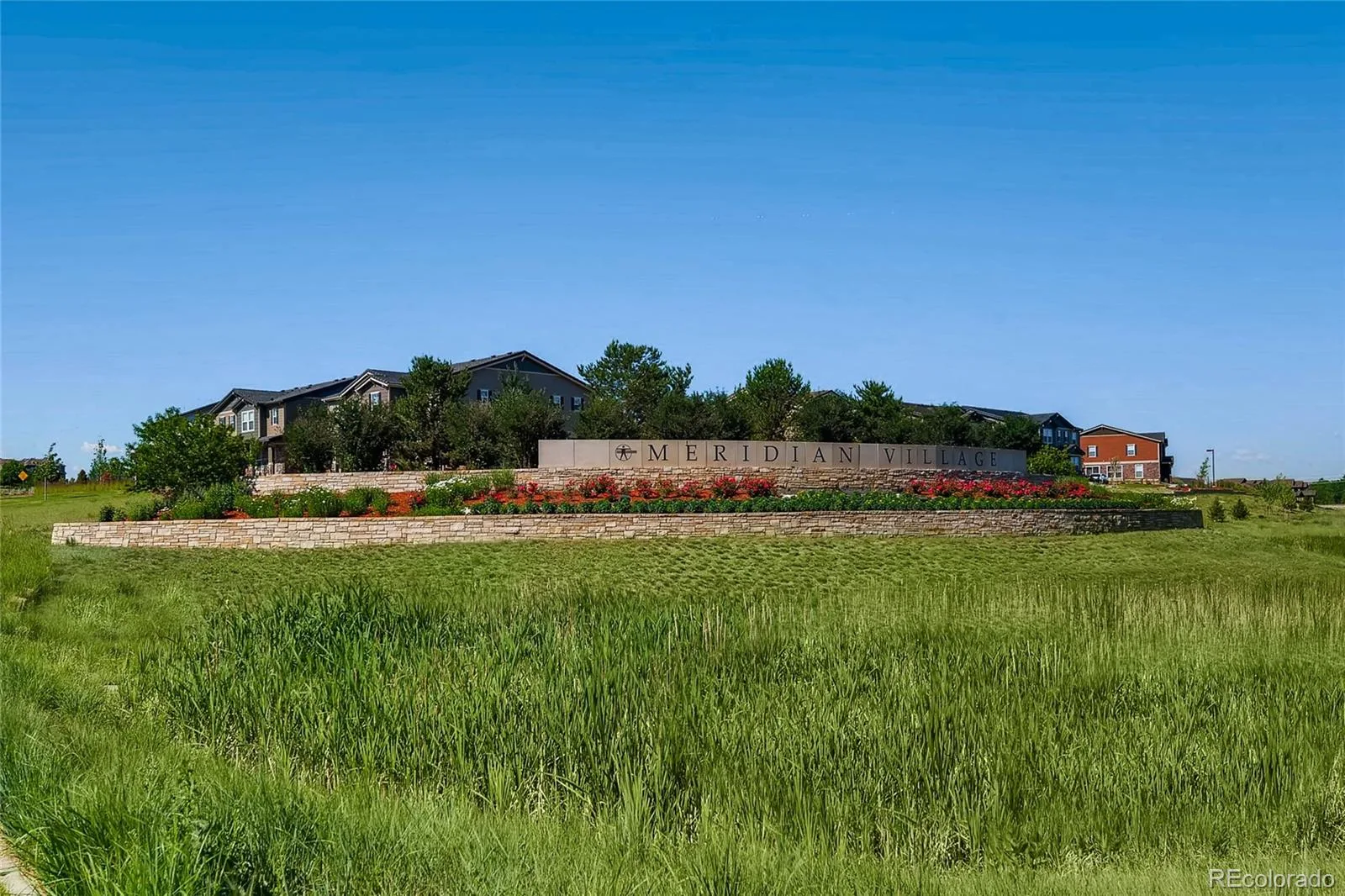 10081 Bristleridge Street Parker CO 80134 | MLS #REC1757845 08262026210400 1600 27