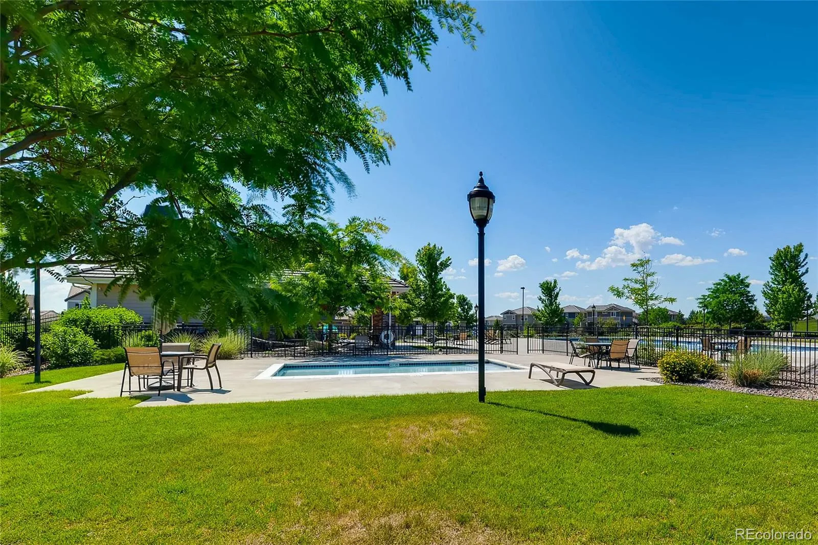 10081 Bristleridge Street Parker CO 80134 | MLS #REC1757845 08262026210400 1600 29