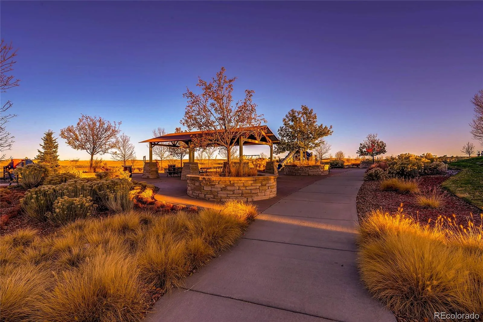 10081 Bristleridge Street Parker CO 80134 | MLS #REC1757845 08262026210400 1600 33