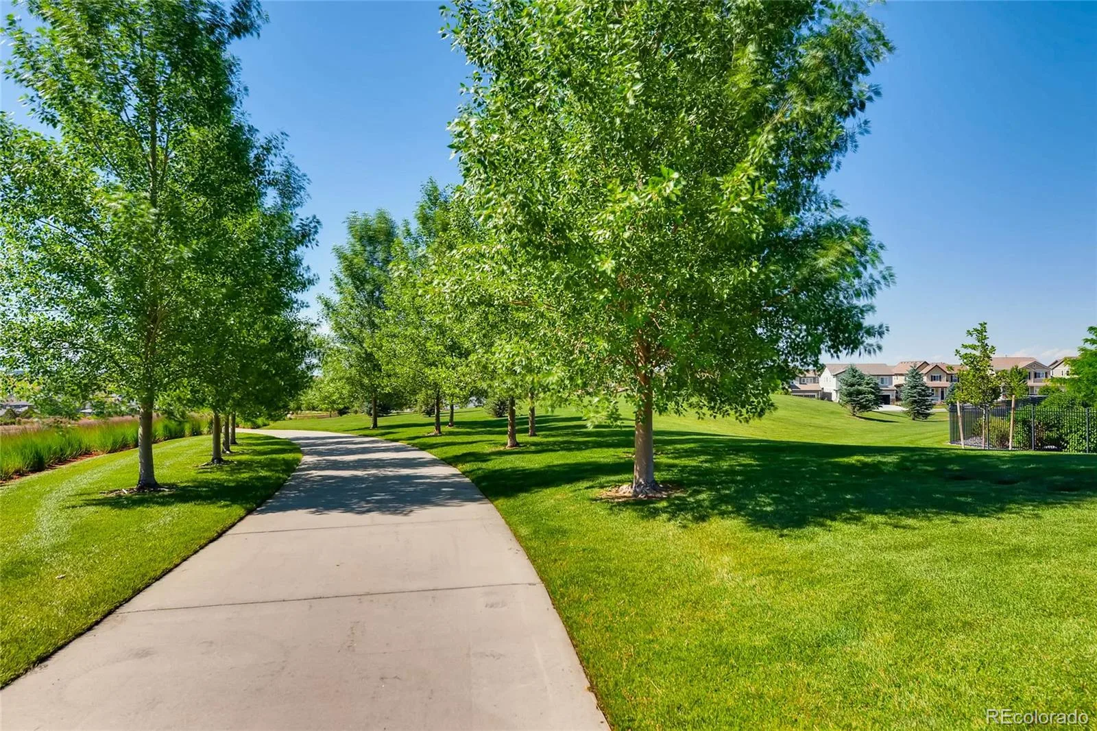 10081 Bristleridge Street Parker CO 80134 | MLS #REC1757845 08262026210400 1600 34