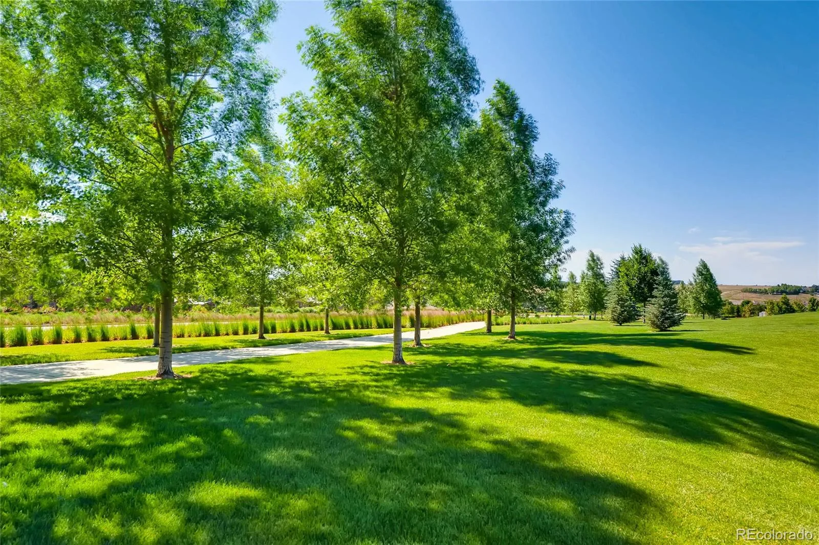 10081 Bristleridge Street Parker CO 80134 | MLS #REC1757845 08262026210400 1600 35