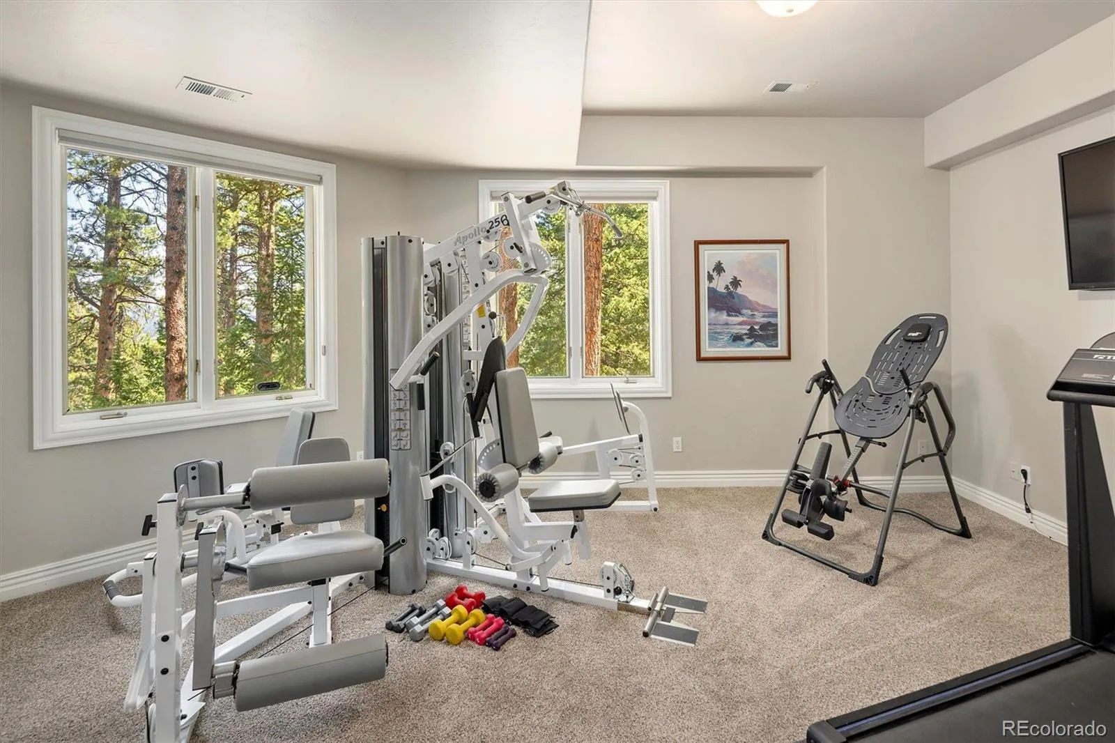 31354 Morning Star Drive Evergreen CO 80439 | MLS #REC1757854 08262026150507 1600 29