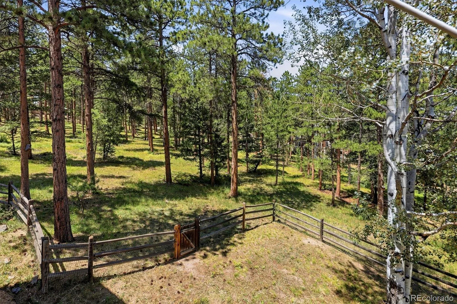 31354 Morning Star Drive Evergreen CO 80439 | MLS #REC1757854 08262026150507 1600 31