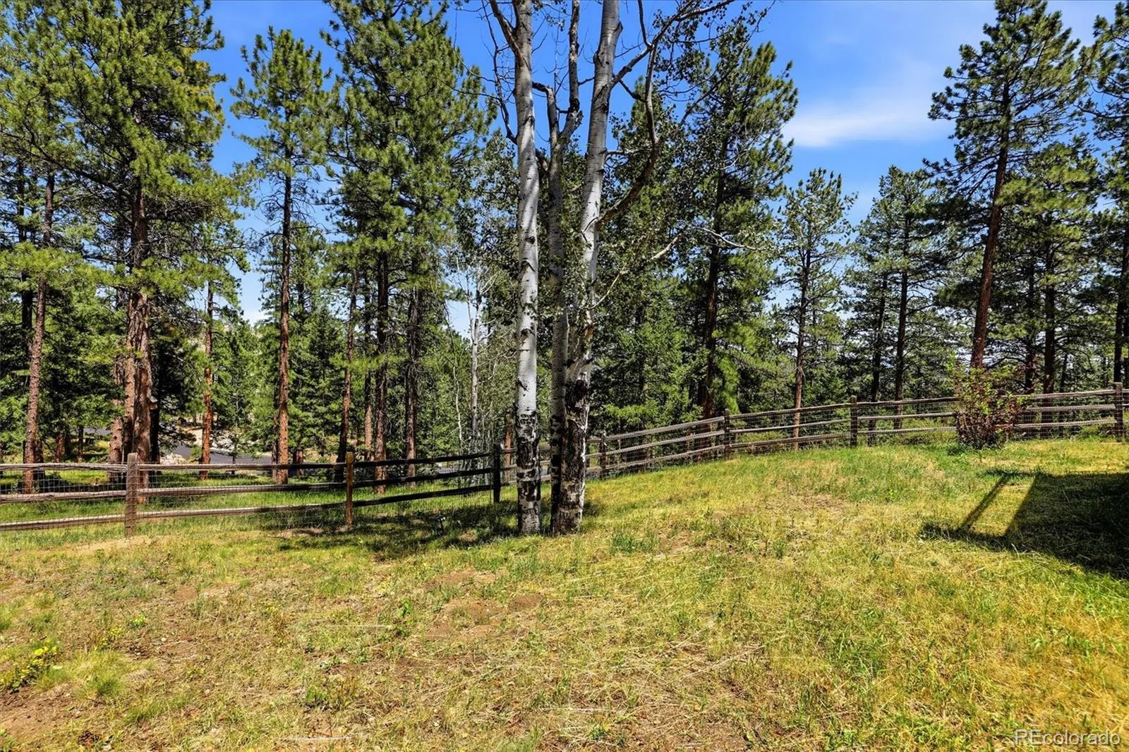 31354 Morning Star Drive Evergreen CO 80439 | MLS #REC1757854 08262026150507 1600 32