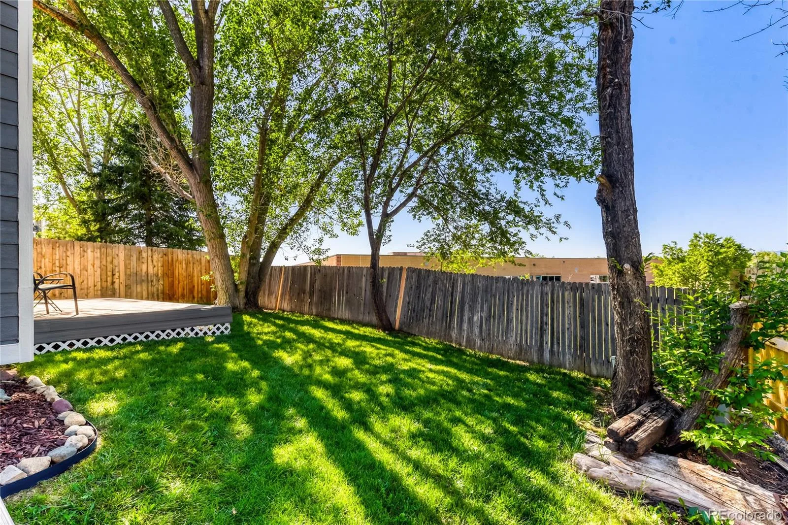 9876 W Friend Place Littleton CO 80128 | MLS #REC1757929 06122026214351 1600 1