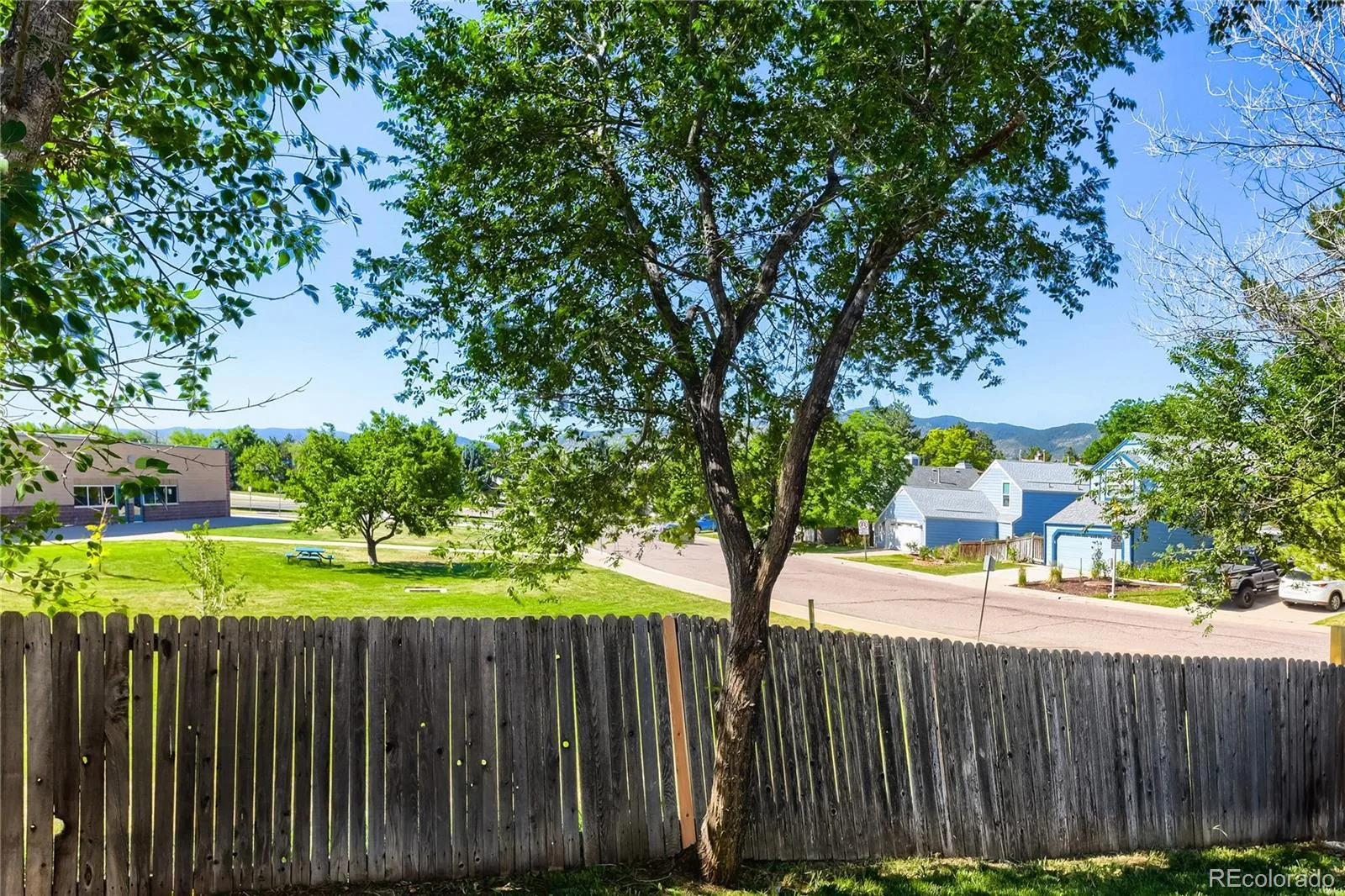 9876 W Friend Place Littleton CO 80128 | MLS #REC1757929 06122026214351 1600 24