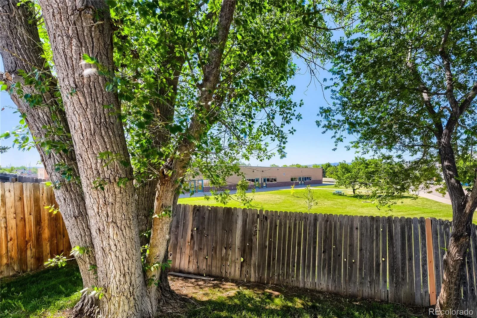 9876 W Friend Place Littleton CO 80128 | MLS #REC1757929 06122026214351 1600 42