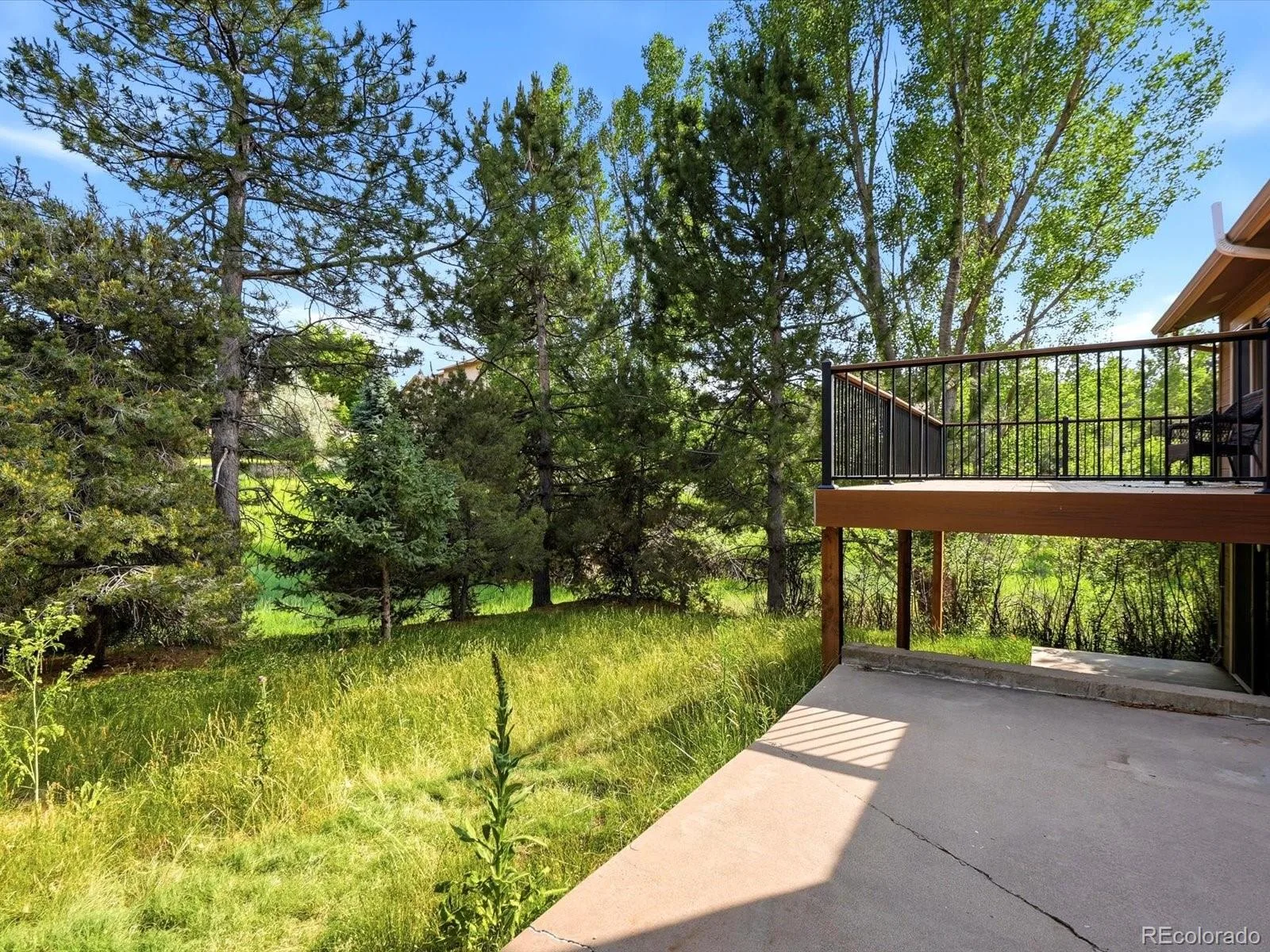 8056 Windwood Way Parker CO 80134 | MLS #REC1769479 08052026022249 1600 32